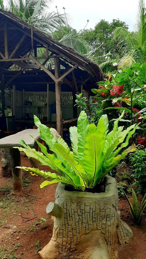 Travis Post Homestay Đảo Đảo Siquijor Ngoại thất bức ảnh