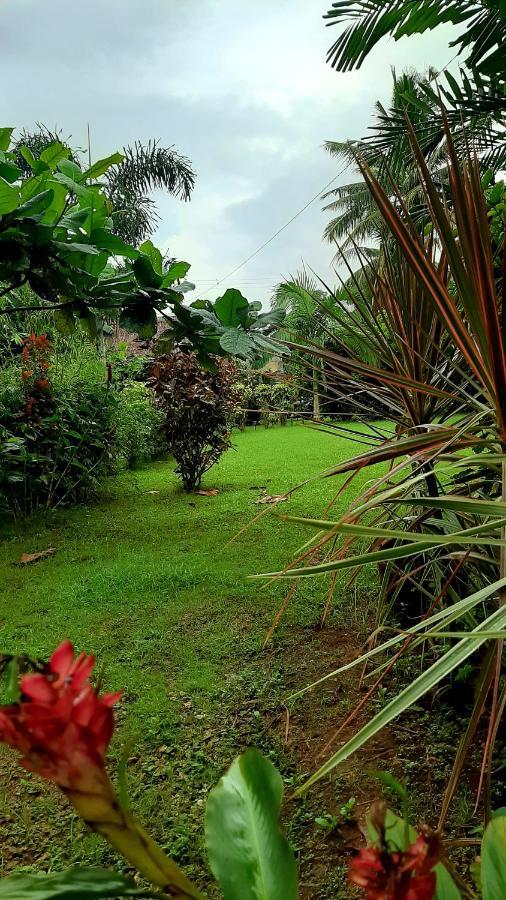Travis Post Homestay Đảo Đảo Siquijor Ngoại thất bức ảnh