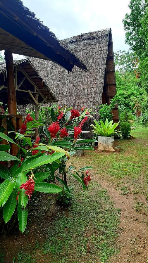 Travis Post Homestay Đảo Đảo Siquijor Ngoại thất bức ảnh