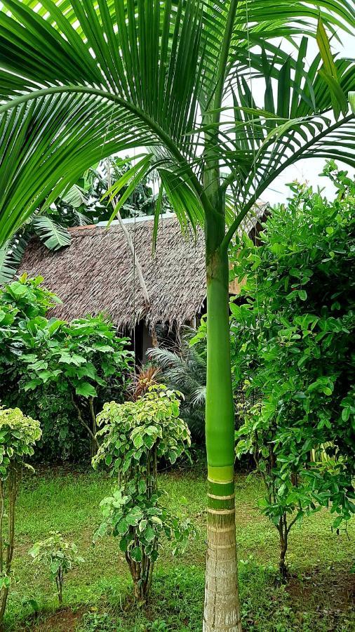 Travis Post Homestay Đảo Đảo Siquijor Ngoại thất bức ảnh