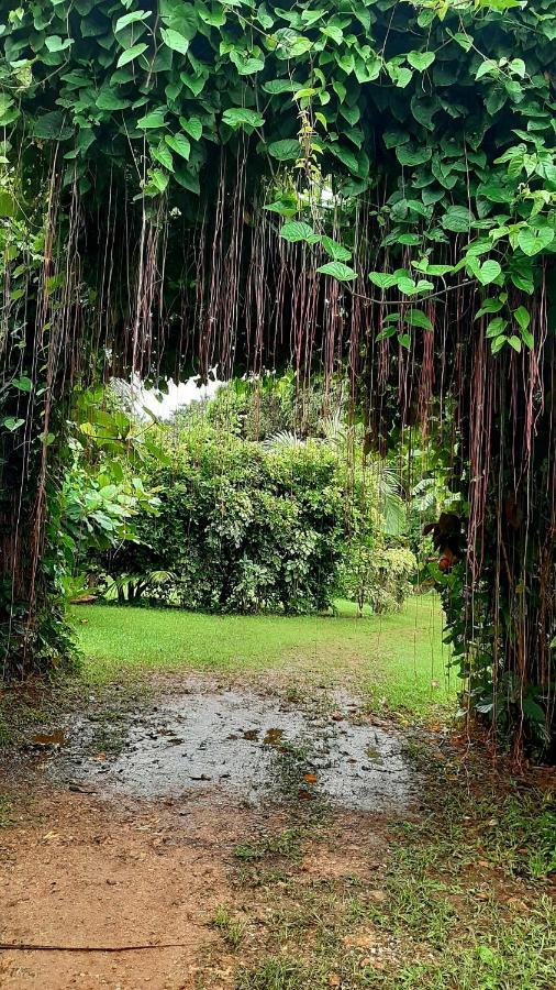 Travis Post Homestay Đảo Đảo Siquijor Ngoại thất bức ảnh